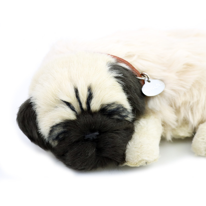 Precious Petzzz Kids Pug Toy Dog Twins